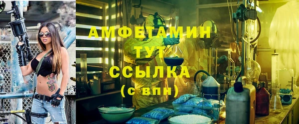 твердый Новозыбков