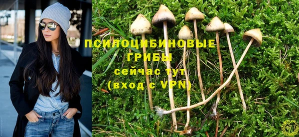 ешки Новодвинск