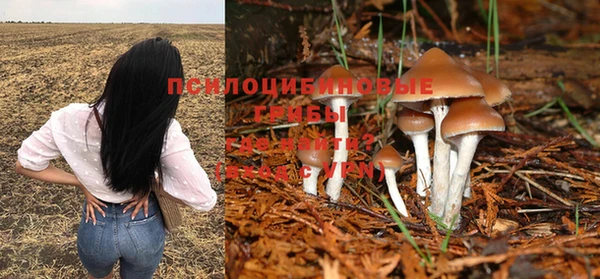 марки nbome Нефтекумск