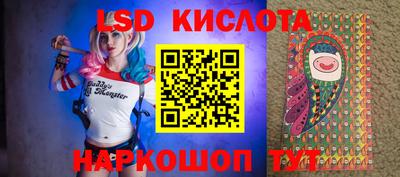 индика Гай