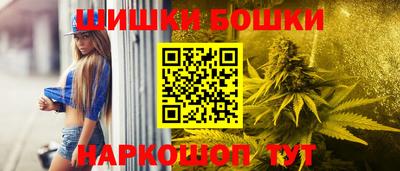 индика Гай