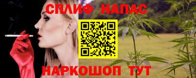 индика Гай
