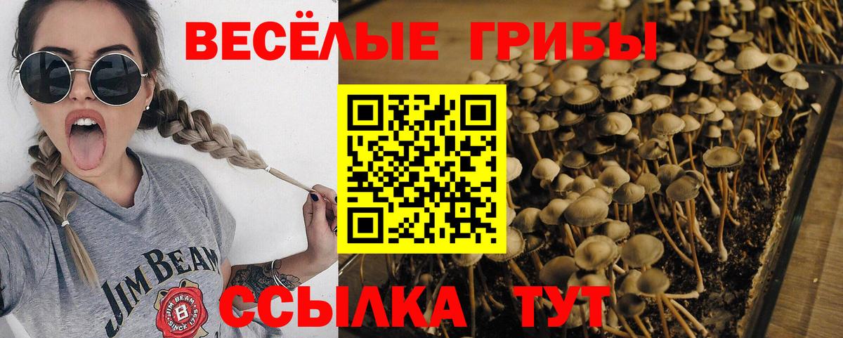 ГЕРОИН  LSD-25  NBOMe  Кокаин  Гашиш  МЕТАМФЕТАМИН  Каннабис  Новокубанск  Вход с VPN  МЕФ кристаллы 