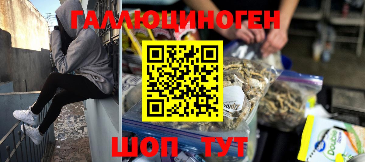 Галлюциногенные грибы мухоморы  Галлюциногенные грибы GOLDEN TEACHER  Новокубанск  Вход с VPN 