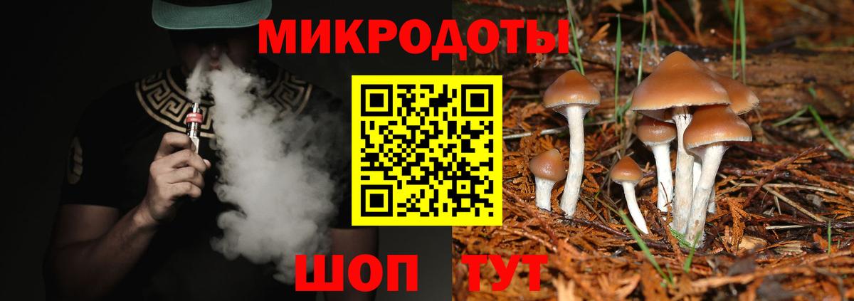 Галлюциногенные грибы ЛСД Новокубанск